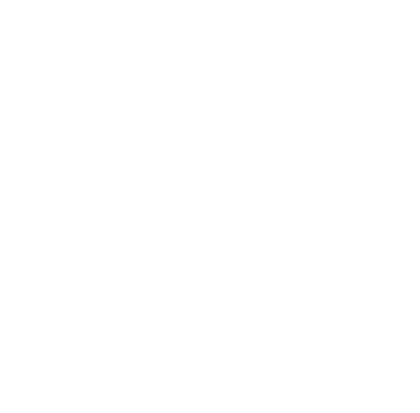 LDV Events
